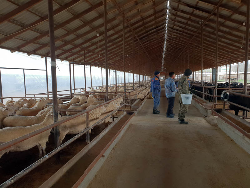 За два месяца предприятие «Сапа-2002» экспортировало мяса больше, чем за весь прошлый год