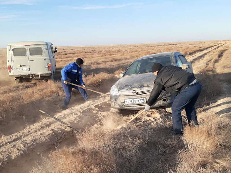 12 часов иностранцы блуждали по степи в Созакском районе