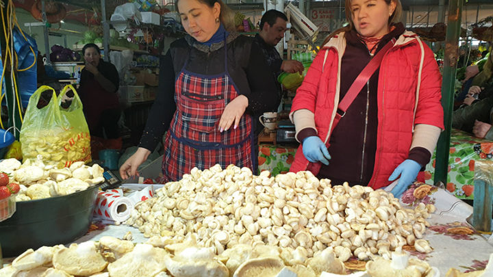 В Шымкенте грибы продают по цене мяса