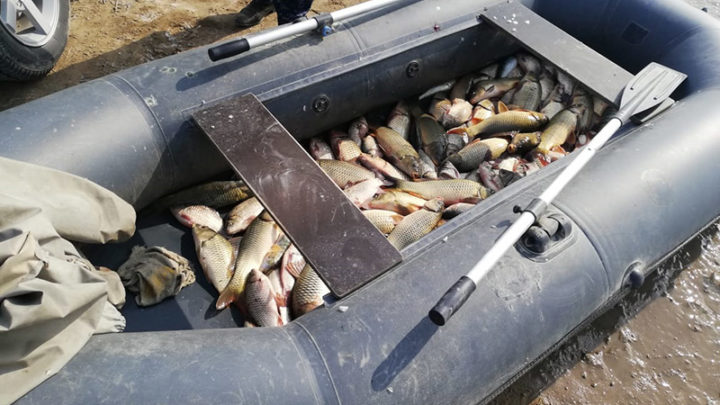 Почти 100 кг рыбы выловил браконьер в Арысском районе