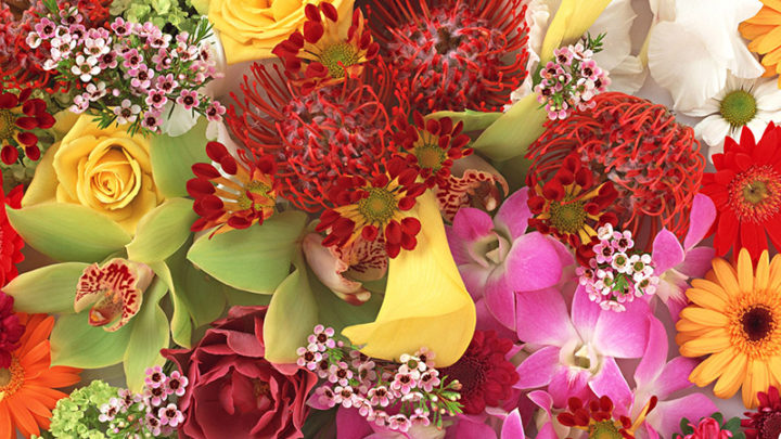 О стоимости цветов в предпраздничные дни в Шымкенте рассказали флористы