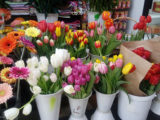 Обзор цен на цветы в Шымкенте