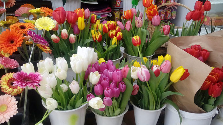 Обзор цен на цветы в Шымкенте