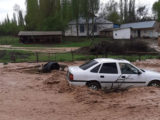 Селевой поток в Толебийком районе ущерб не нанес