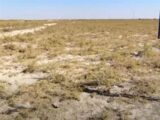 Особо охраняемые земли в Туркестанской области попали в собственность экс-акима