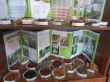 102 вида семян для посадки заготовили в дендропарке Шымкента