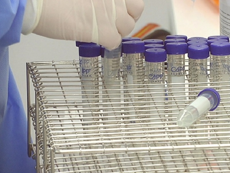 Наличие антител казахстанцы могут проверить новым тестом