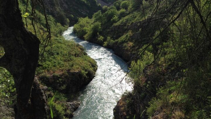 Трое пропавших туристов найдены в горах Туркестанской области