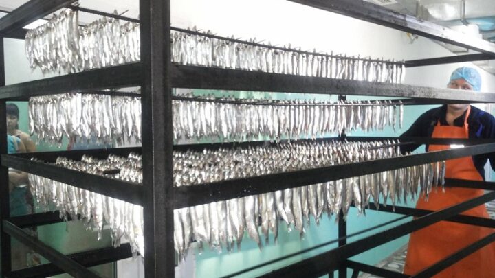 В Шымкенте сезон копченой рыбы продолжается с конца марта по декабрь