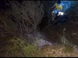 Трое подростков потерялись в ущелье Бургулюк Туркестанской области