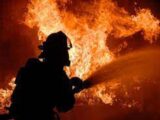 26 пожаров произошло в Шымкенте в праздничные дни