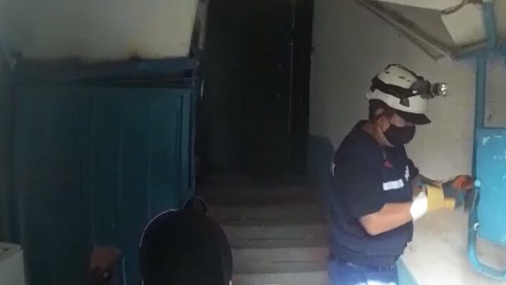 Спасатели в Шымкент спасли пушистика
