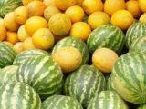 3 млн тонн овощей и бахчевых собрали в Туркестанской области