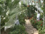 Цитрусовые выращивают в школьной теплице в Шымкенте