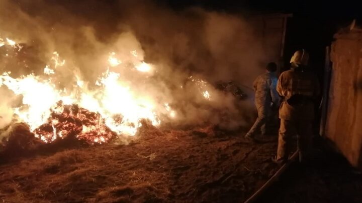 Трое детей погибли из-за возгорания сена в Атырауской области