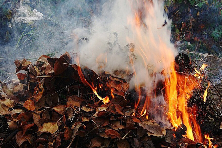 За сжигание листы в Шымкенте грозит штраф