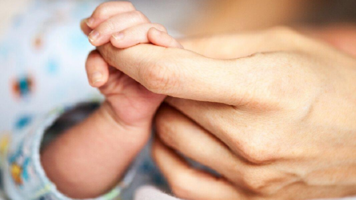 Пособия по рождению ребенка и уходу за ним можно оформить онлайн