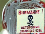 15 семей в Шымкенте купили мясо, зараженное сибирской язвой