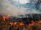 6 млрд тенге составил ущерб от природных возгораний в этом году в Казахстане