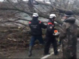 ЧС-ники спасают от упавшего дерева жителей многоквартирного дома в Шымкенте
