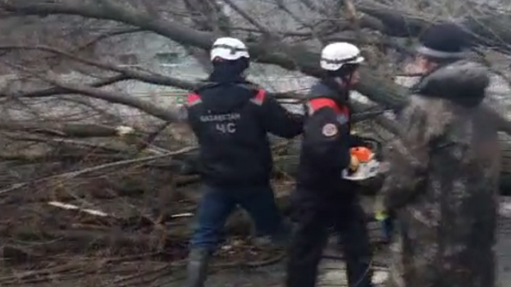 ЧС-ники спасают от упавшего дерева жителей многоквартирного дома в Шымкенте