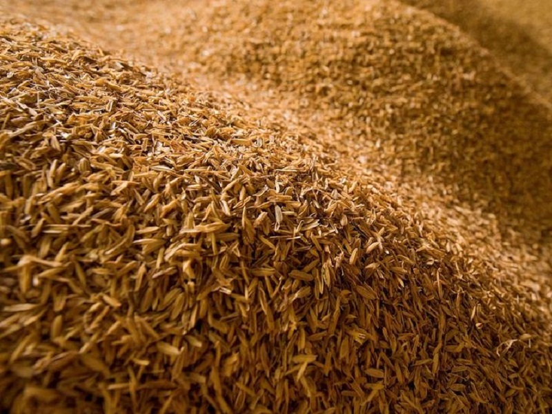 В Казахстане ученый разработали технологию получения диоксида кремния из рисовой шелухи