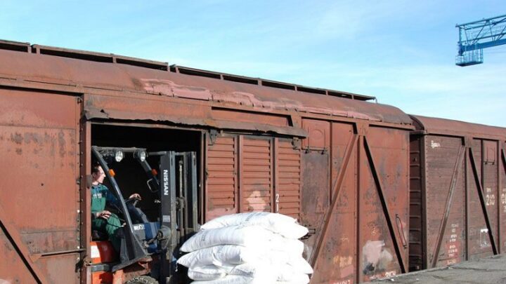 Контрабандные сухофрукты на 48 млн тенге пытались завезти в Казахстан