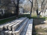 Жители Шымкента возмущены уничтожением зелени ради электрических столбов