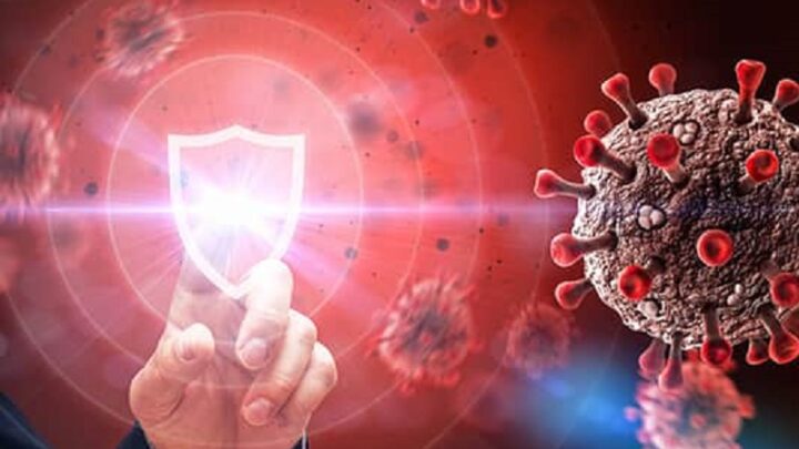 Информацию о «неизвестном вирусе, поражающем шымкентцев» прокомментировали санэпидемиологи