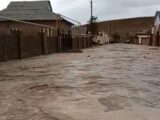 Ливень затопил дома пяти населенных пунктов Туркестанской области