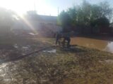 Пострадавшим от непогоды в Туркестанской области полностью возместят ущерб