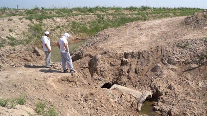 Дехкане Отырарского района не могут попасть на свои поля из-за сломанного моста