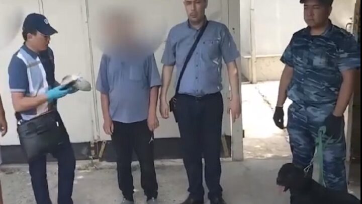 Житель Шымкента задержанный с марихуаной рассказал полиции, где взял наркотики