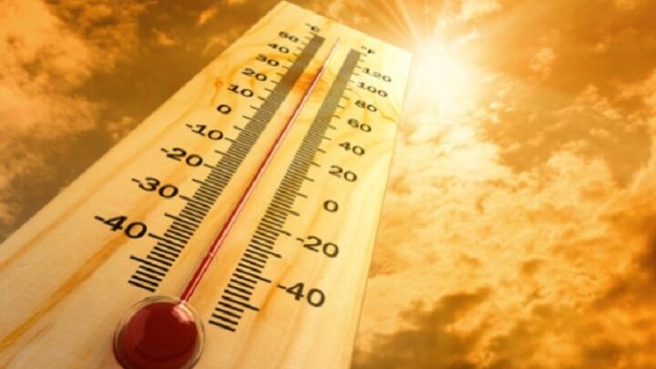 Штормовое предупреждение из-за жары объявлено в Шымкенте