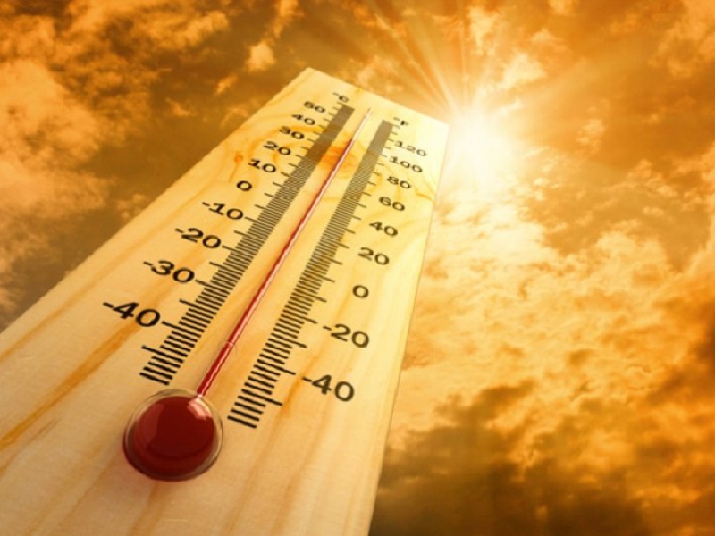 Штормовое предупреждение из-за жары объявлено в Шымкенте