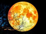 Сегодня ночью можно будет увидеть сближение Луны и Земли