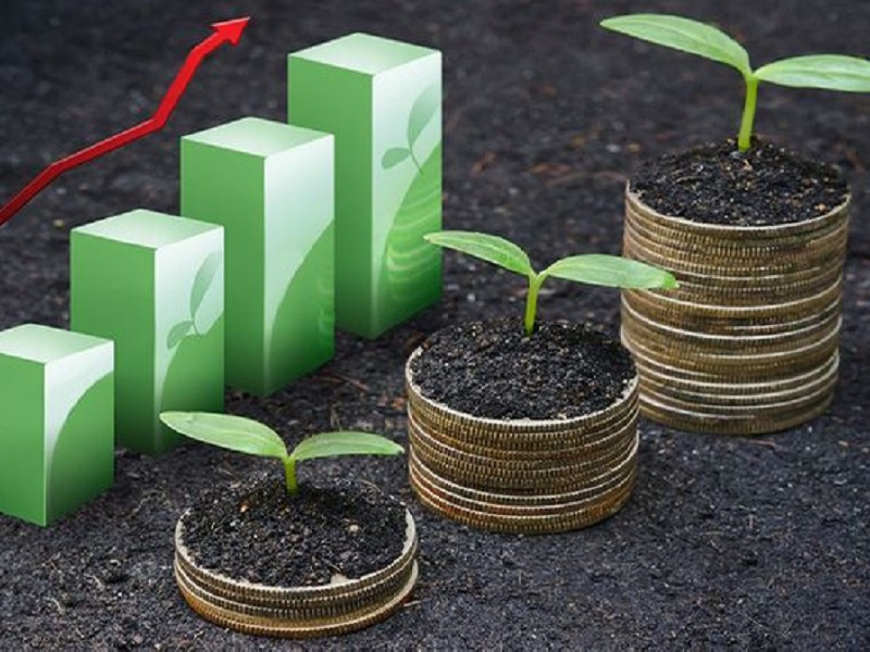 Что такое «зеленые» финансы