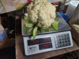 Цены на зелень и цветную капусту взлетели в Шымкенте
