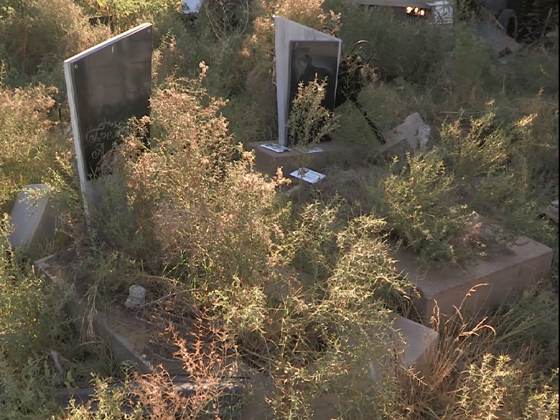 Кладбище для животных исчезло в Шымкенте