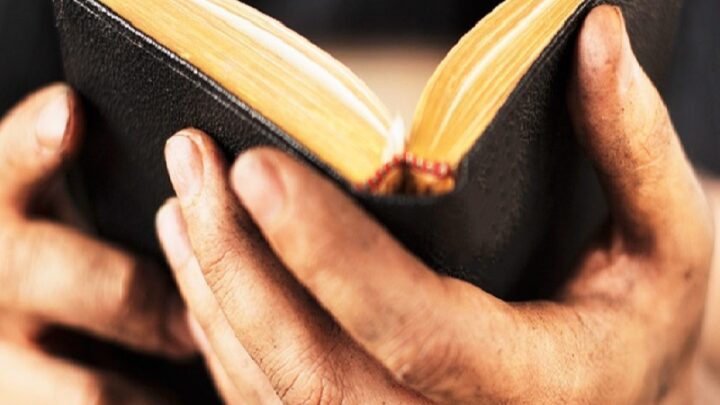 В Шымкенте мужчину с 222 книгами религиозного содержания оштрафовали на 153 450 тенге