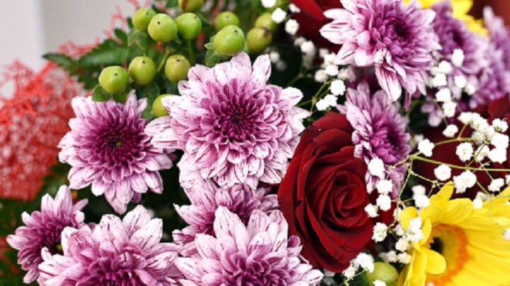 Дарить цветы учителям на 1 сентября  разрешили в Казахстане