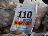 Более 500 тонн продуктов привезли на ярмарку аграрии Туркестанской области