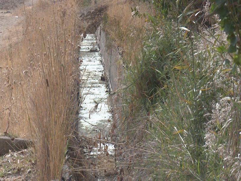 Нитраты и хлорид сливали в поливной канал в Шымкенте