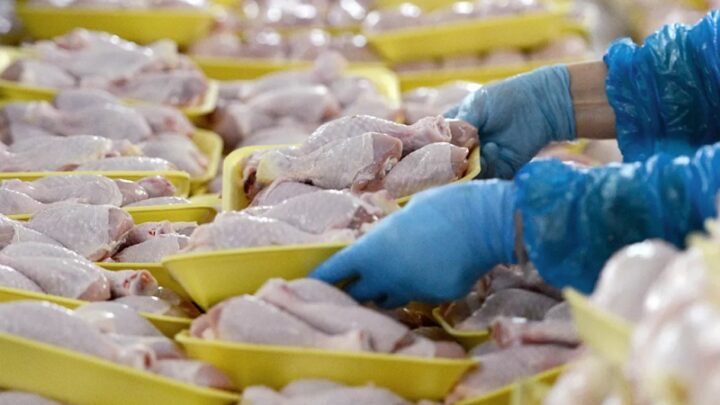 Рост стоимости молочной и куриной продукции зафиксирован в Туркестане