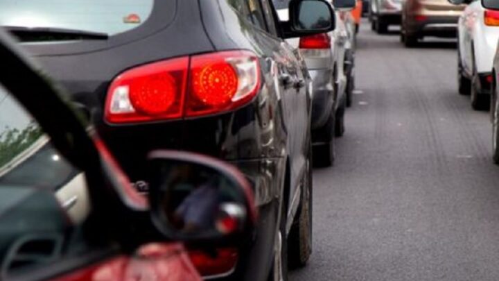 114 авто легализовали в Шымкенте за четыре дня