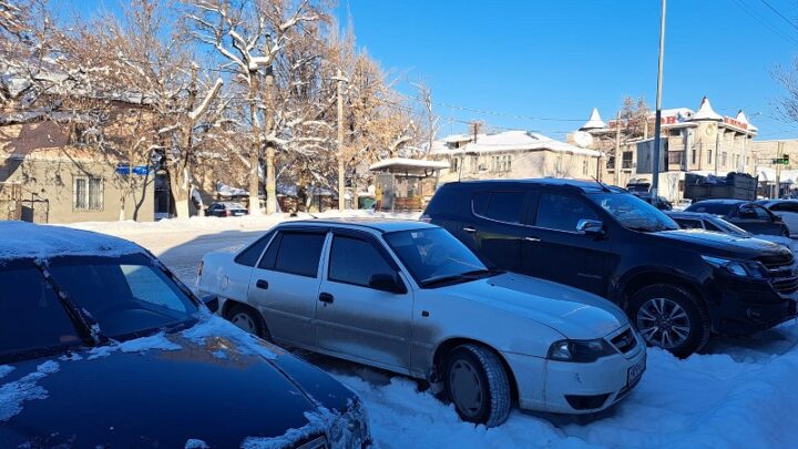 В Казахстане с 23 января начнется легализация иностранных автомобилей
