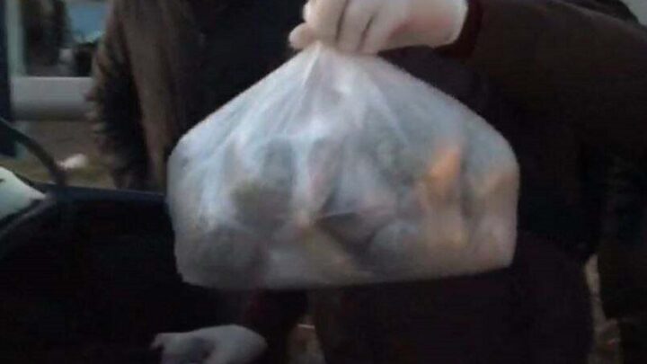На трассе Шымкент – Самара оперативники изъяли 2,5 кг марихуаны