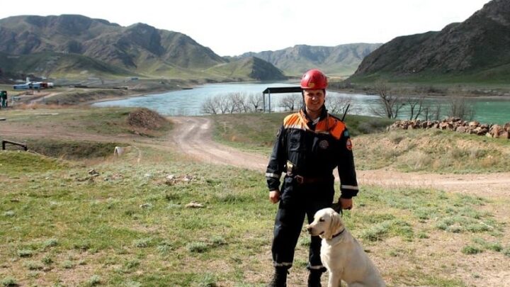 В Казахстане в МЧС служат более 70 собак-спасателей