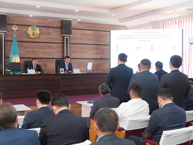 18,6 млрд тенге составил объем инвестиций в основной капитал в Тюлькубасском районе