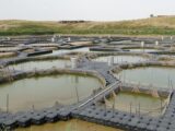 Расторгнуты договоры с пользователями 21 водоема в Туркестанской области